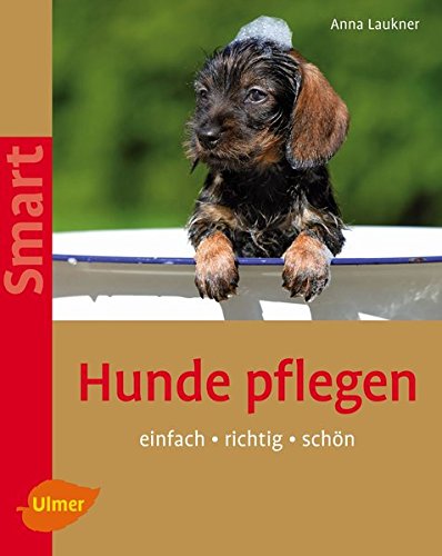 Bücher Hunde pflegen: Einfach - richtig - schön - 1