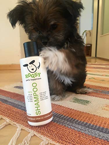ROQSY Natur Hundeshampoo vegan Naturshampoo für Hunde Aller Rassen, Größen und Fellfarben; auch für Welpen und Sensible Haut